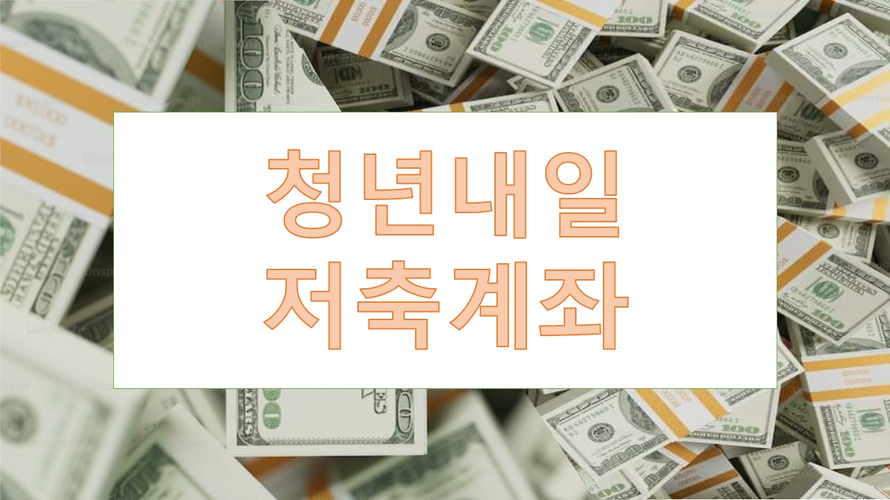 청년내일저축계좌 청년도약계좌 비교분석