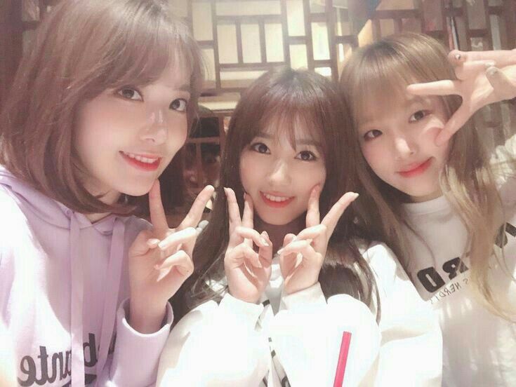 아이즈원 프로듀스48 사진 모음