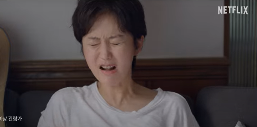 염정아 황정민 주연 영화 넷플릭스 크로스