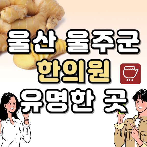울산 울주군 한의원 추천 TOP5 양심 한의원 유명한 곳