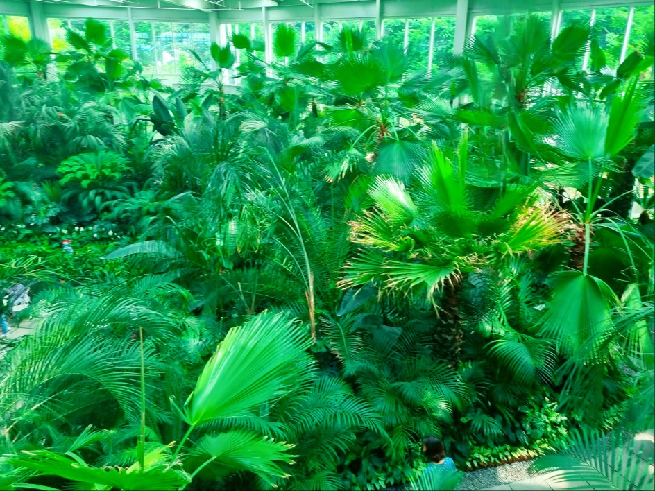 팔방미인 파주 문지리 535 카페 매력 포인트: 드넓은 논밭 뷰와 초록을 담은 실내 식물원 