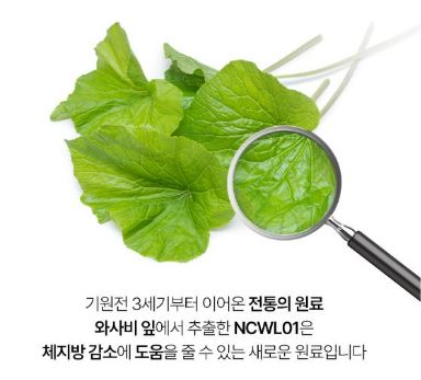 이소비텍신 다이어트 효과