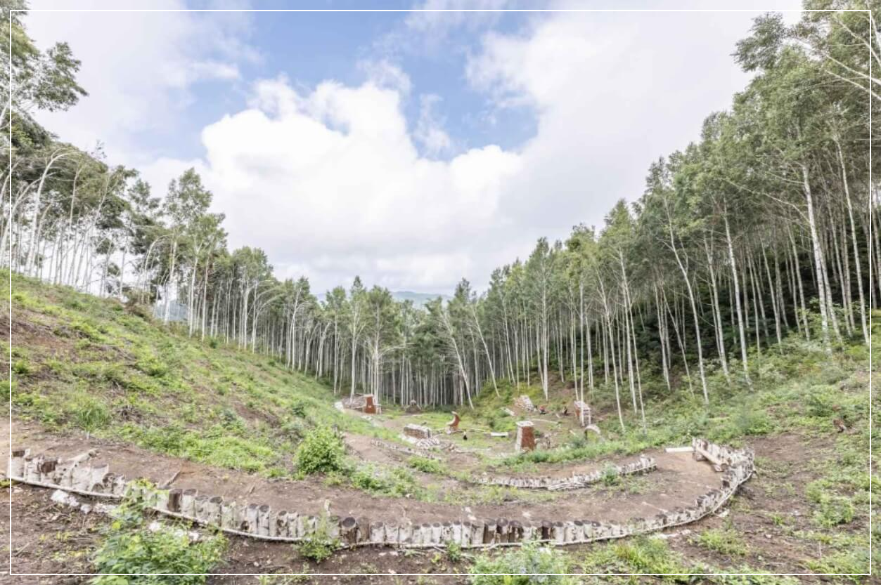 인제 가볼만한곳 베스트10 원대리 자작나무숲