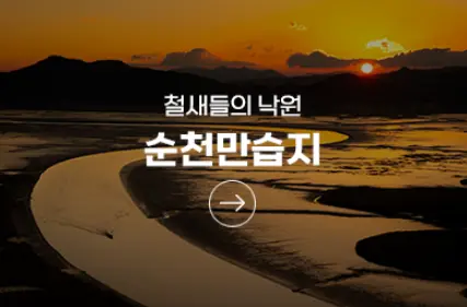 순천만 습지