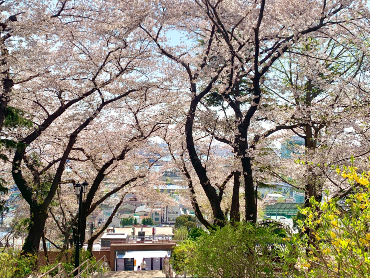 자유공원