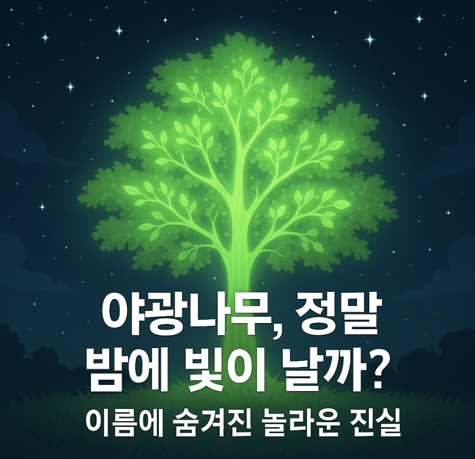 야광나무, 정말 밤에 빛이 날까? 이름에 숨겨진 놀라운 진실