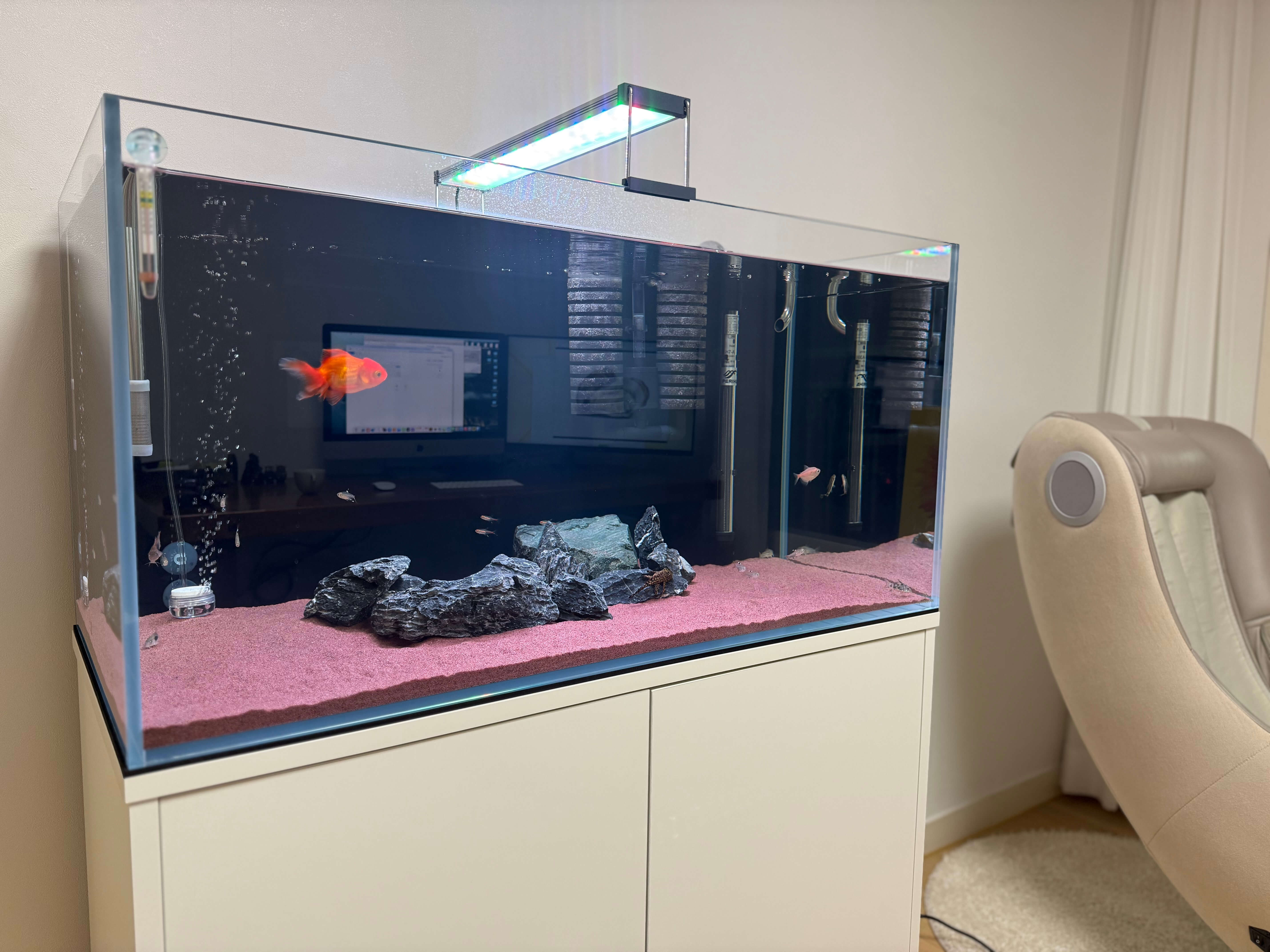 어항 바닥재 추천