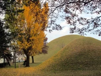 가을 경주 여행 가볼만한곳 베스트 10으로 정리_17