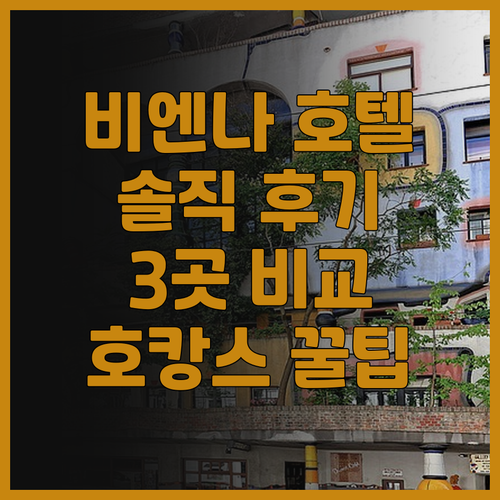 호캉스 제대로 즐기기! 비엔나 인기 ..