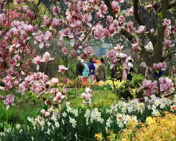 천리포수목원 숙박안내, 목련축제_4