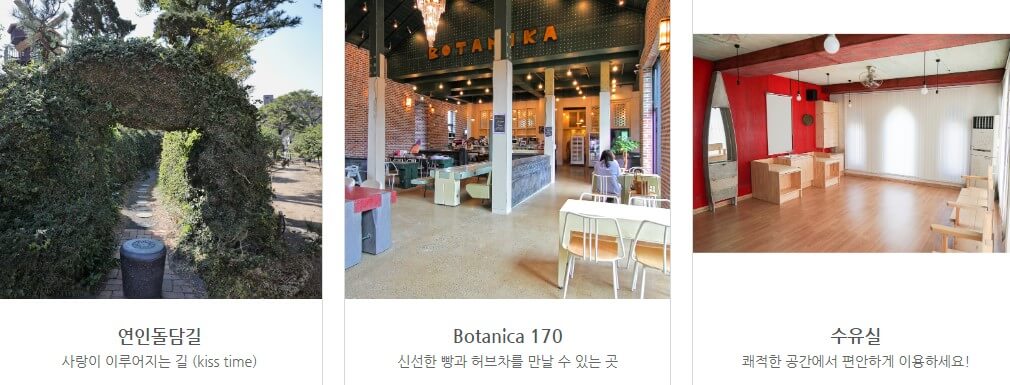 제주 허브동산에는 허브공원이 기본이지만 공원안에는 힐링하우스 펜션도 같이 운영하고 있습니다.