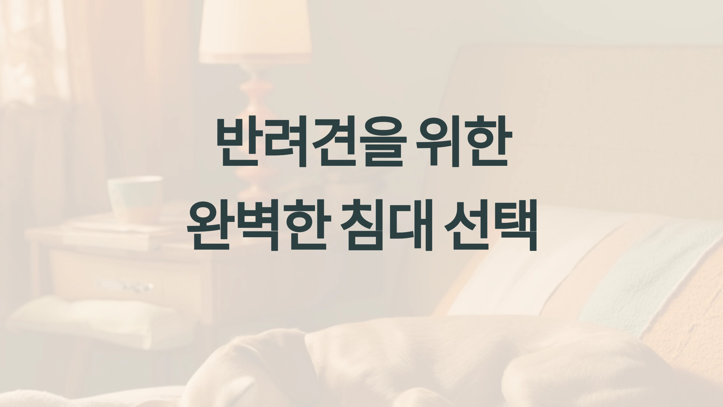 어떤 반려견에게 적합할까