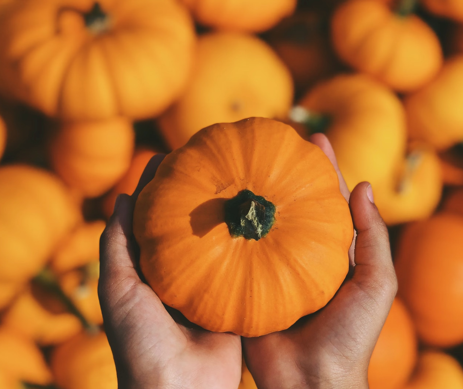 늙은호박죽 효능