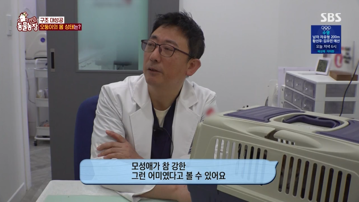 동물농장