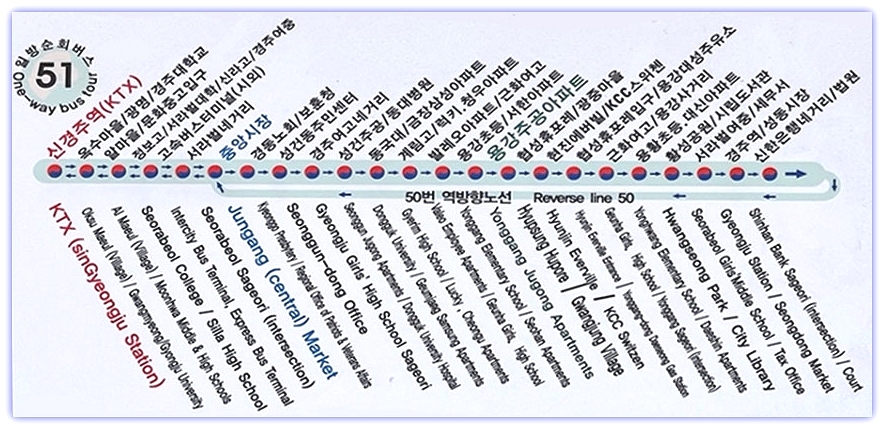 경주 51번 버스 노선