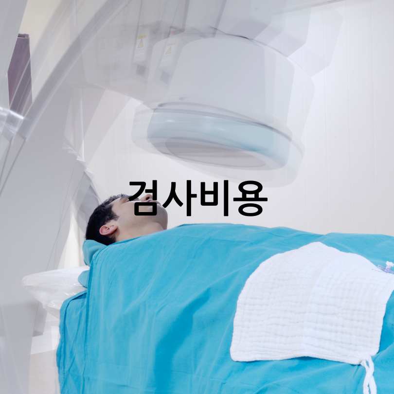 뇌혈관 조영술