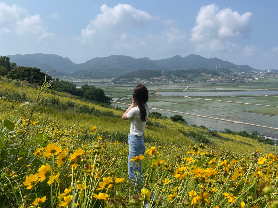숲쟁이꽃동산