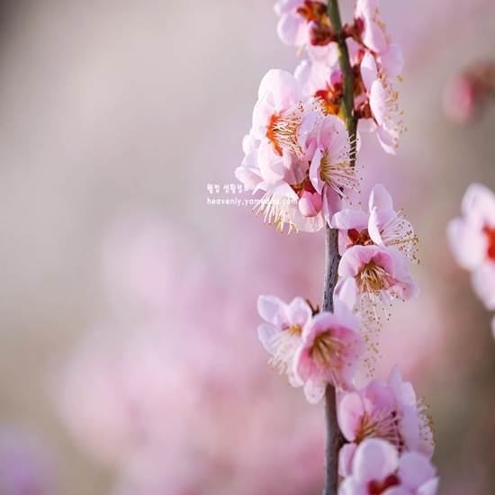 2월 인사말 모음집