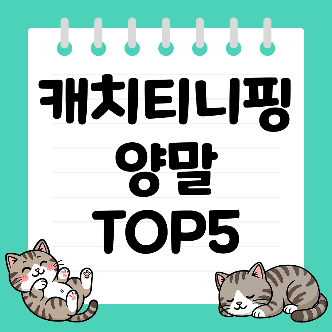 선물용으로 좋은 캐치티니핑 양말 추천 TOP5