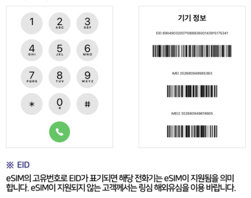 이심 eSIM 사용 기기 확인 방법