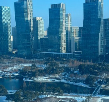 반려견과 함께 간 호텔에서 바라 본 전경