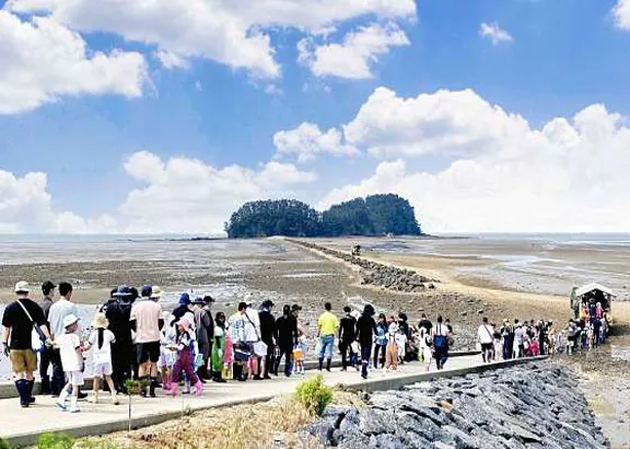 선도리갯벌체험장