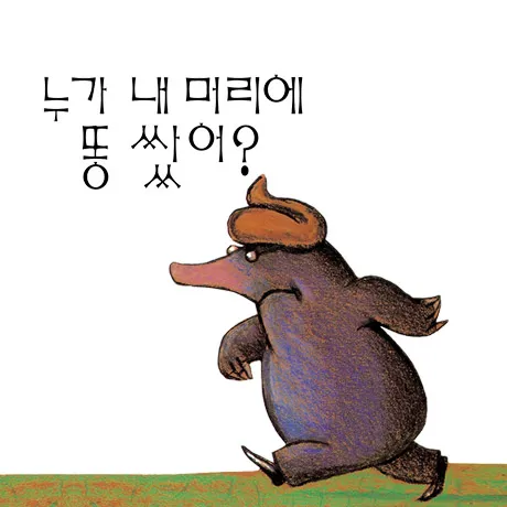 누가 내 머리에 똥 쌌어? 표지