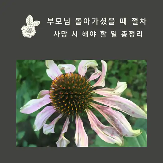 부모님 돌아가셨을 때 절차