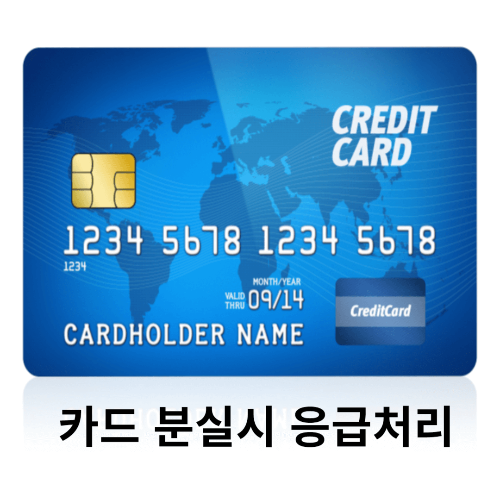 카드사