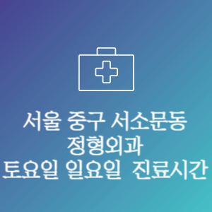 서울 중구 서소문동 정형외과 주말 토요일 일요일 문여는 병원 진료시간