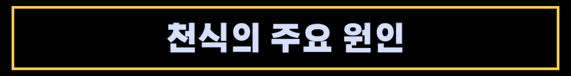 천식의 원인과 증상&#44; 천식에 좋은 음식
