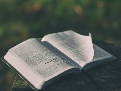 장 건강을 위한 하루 루틴 만들기