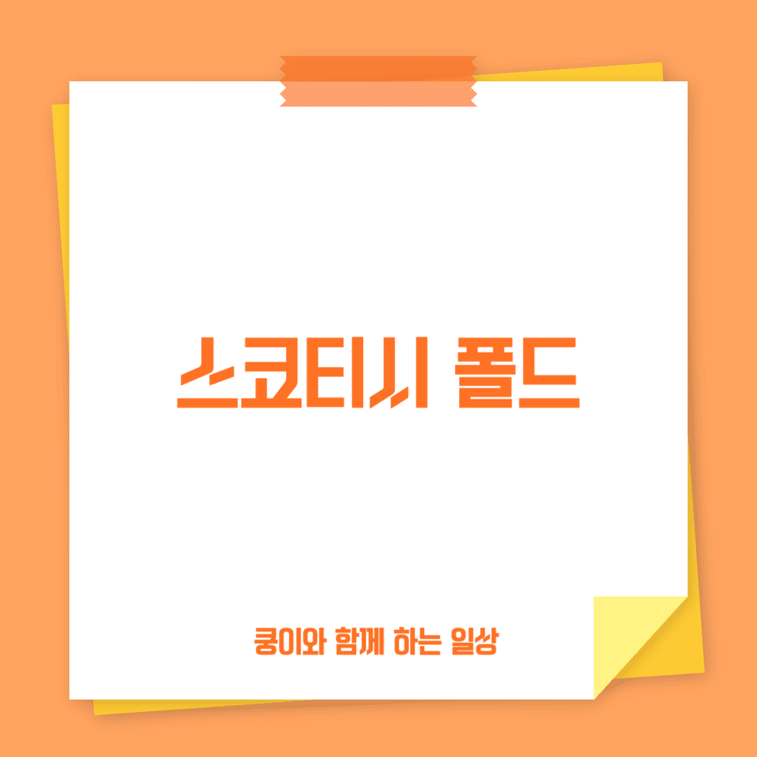 스코티시 폴드