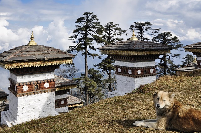 부탄의 불교 문화와 전통 의식 : 삶과 죽음에 대한 철학