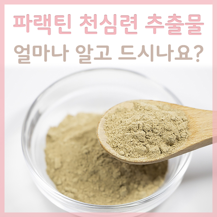 그릇에-담은-파랙틴-천심련-추출물