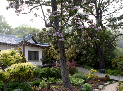 가든하우스-벚나무집