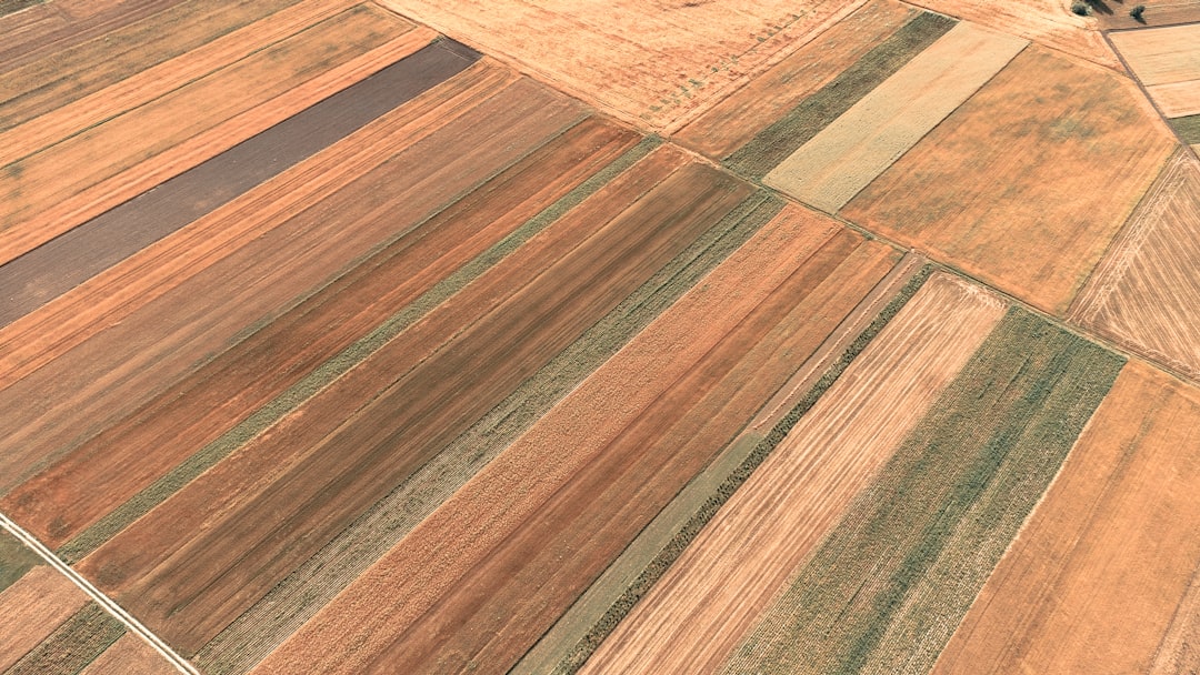 Agricultural land