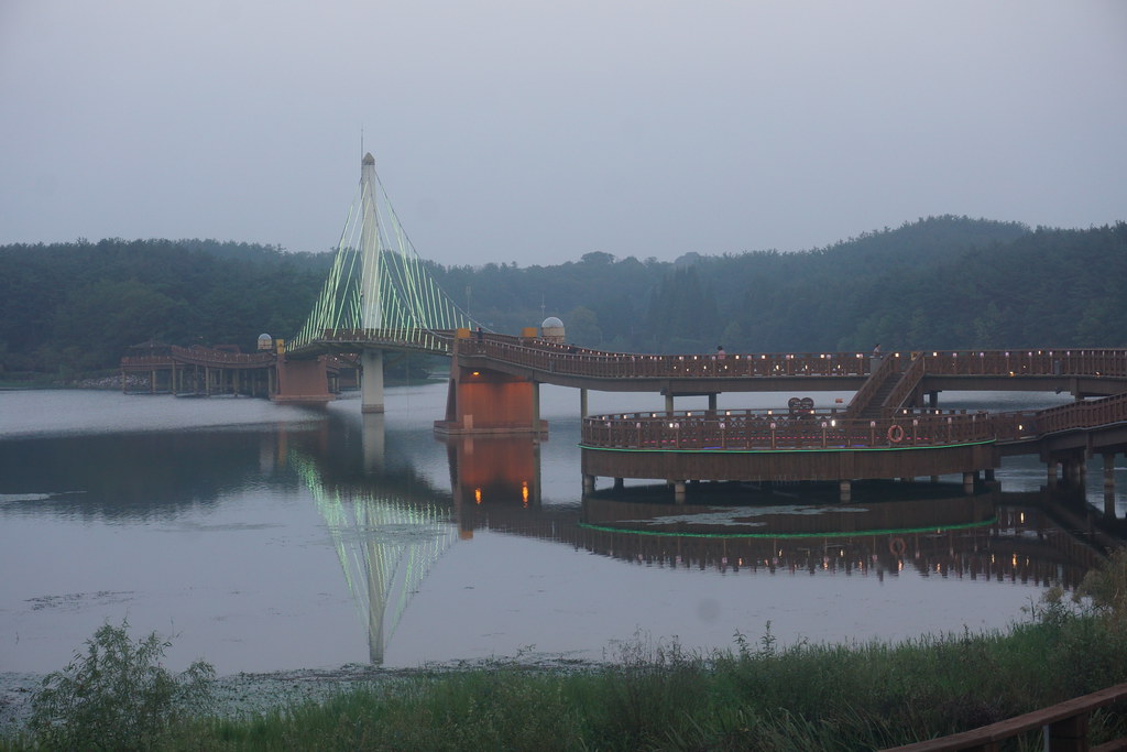 군산 은파호수 수목원 관람 가이드 ❘ 이용 정보·산책 코스·계절별 볼거리 총정리