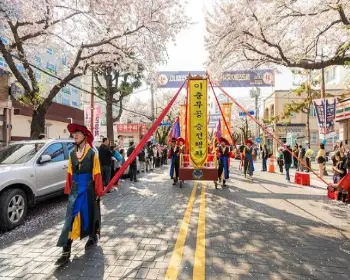 진해군항제_12