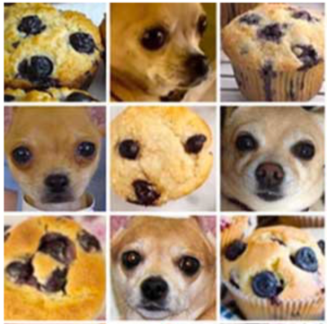 Convolutional Nerual Network
