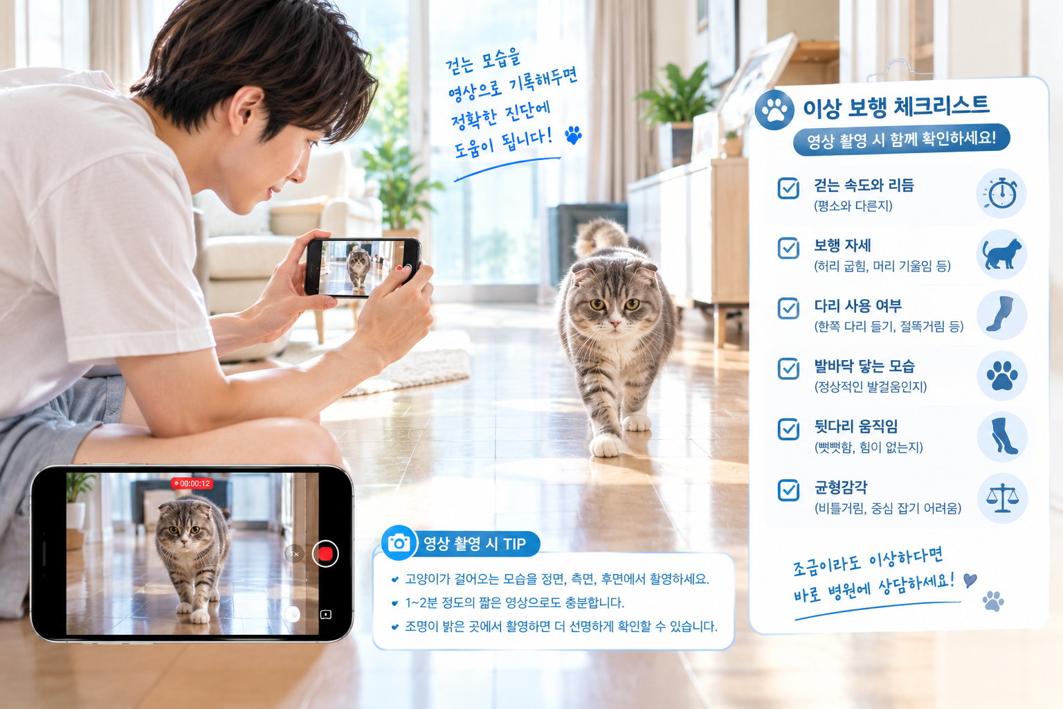 고양이 이상 보행 동영상 기록 및 체크리스트