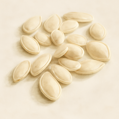 호박씨_부작용_주의사항