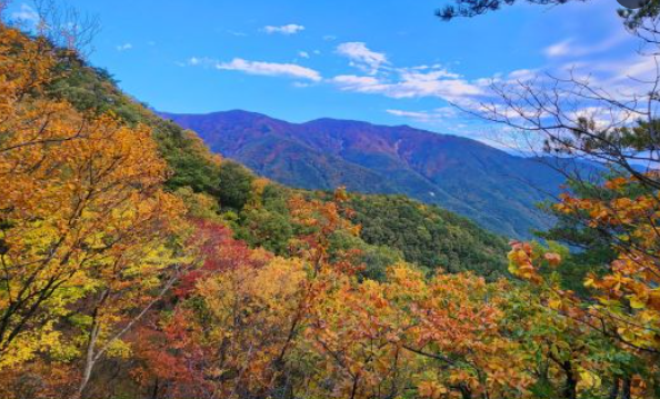 2025 가을 경상도 단풍 명소 산행 추천 ❘ 주왕산&middot;가야산&middot;팔공산 절정 시기