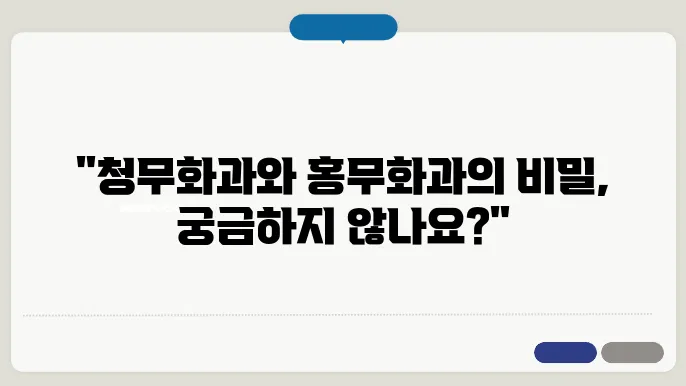 청무화과 홍무화과