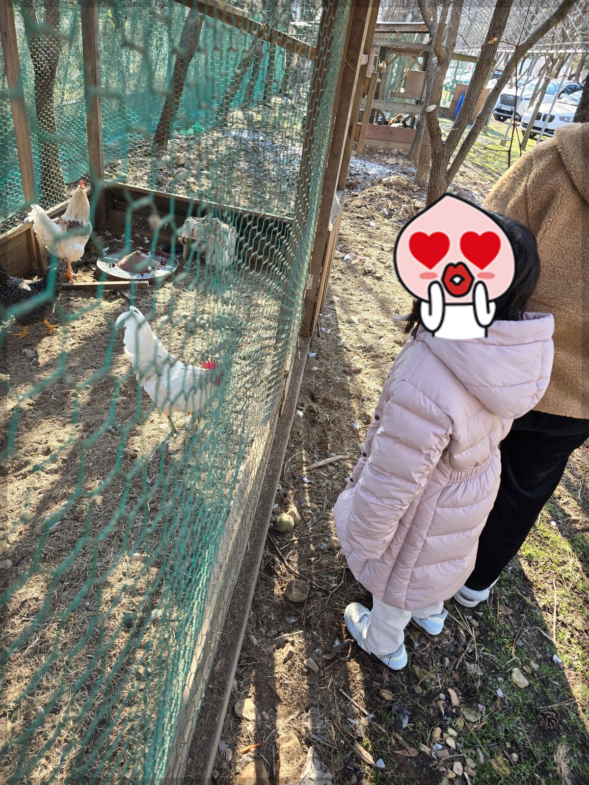 덕바위마을-닭