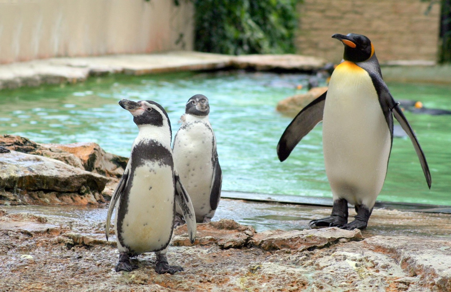 기후 재난이 일상이 된 이유 지금 이 순간에도 진행 중인 5가지 경고 신호