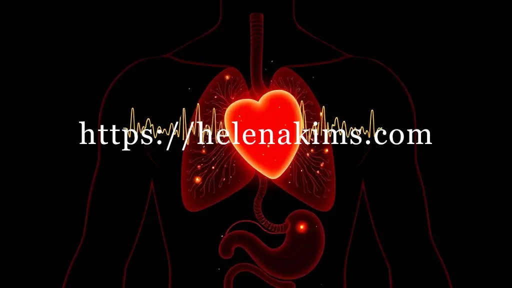 심장 부위에서 불규칙한 두근거림을 상징하는 진동 파동이 퍼져나가고, 이와 연결된 기관지에서는 가벼운 기침을 연상시키는 미세한 빛의 파편들이 흐릿하게 터져 나온다. 심장, 폐, 위장 등 주요 장기들이 은은한 선으로 연결되어 있는 이미지.