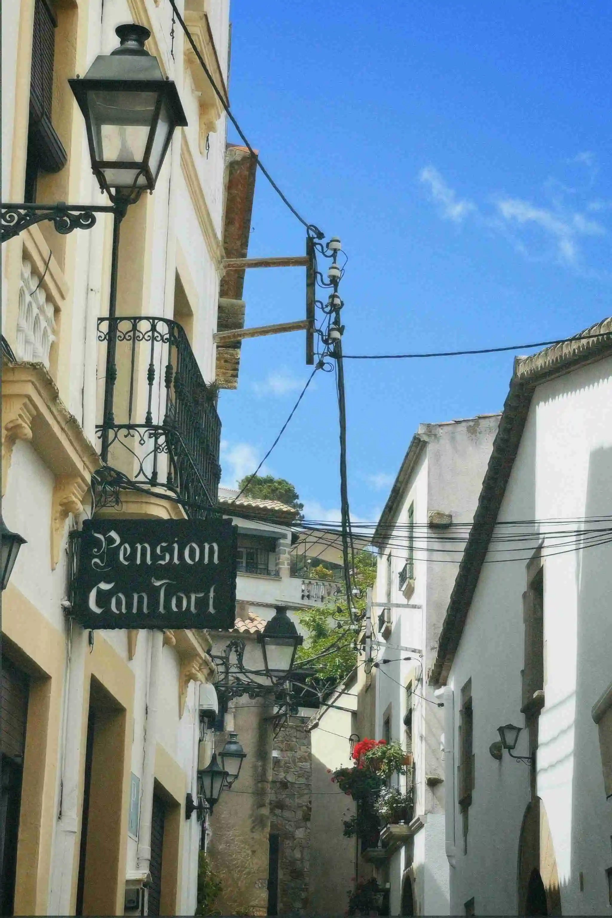 놓치면 월 20만 원 손해! 청년 전세대출 이자지원 총정리