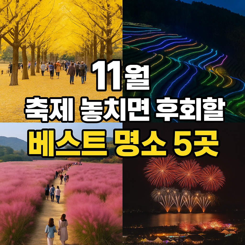 11월 날짜별 전국 축제 확인하기