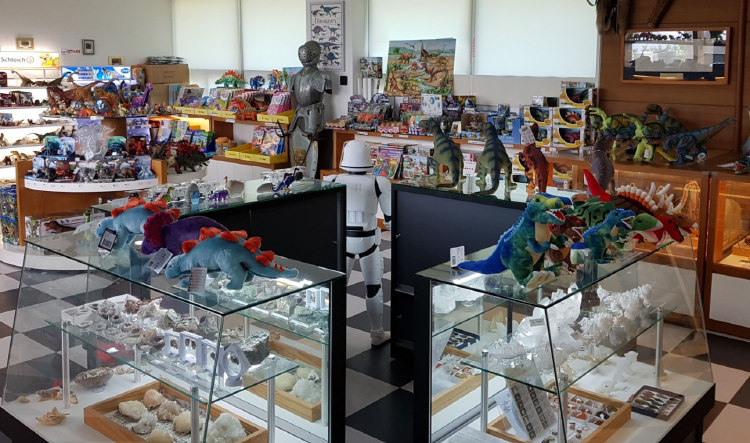 안면도 쥬라기박물관